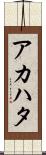 アカハタ Scroll