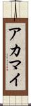 アカマイ Scroll