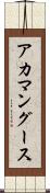 アカマングース Scroll
