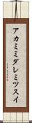 アカミミダレミツスイ Scroll