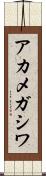 アカメガシワ Scroll