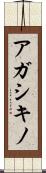アガシキノ Scroll