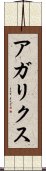 アガリクス Scroll