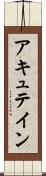 アキュテイン Scroll