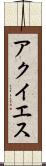 アクイエス Scroll