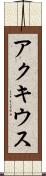 アクキウス Scroll