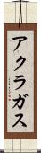 アクラガス Scroll