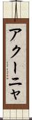 アクーニャ Scroll