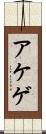 アケゲ Scroll
