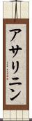 アサリニン Scroll