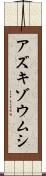 アズキゾウムシ Scroll