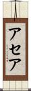 アセア Scroll