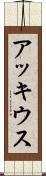 アッキウス Scroll