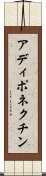 アディポネクチン Scroll
