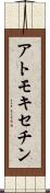 アトモキセチン Scroll