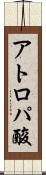 アトロパ酸 Scroll