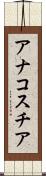 アナコスチア Scroll