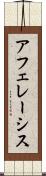 アフェレーシス Scroll
