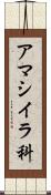 アマシイラ科 Scroll