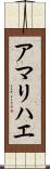アマリハエ Scroll