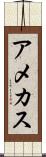 アメカス Scroll