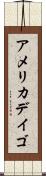アメリカデイゴ Scroll