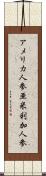 アメリカ人参 Scroll
