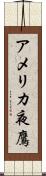 アメリカ夜鷹 Scroll