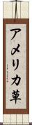 アメリカ草 Scroll