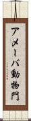 アメーバ動物門 Scroll