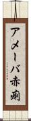 アメーバ赤痢 Scroll