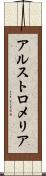 アルストロメリア Scroll