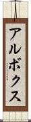 アルボクス Scroll
