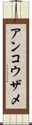 アンコウザメ Scroll