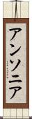 アンソニア Scroll
