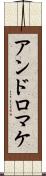 アンドロマケ Scroll