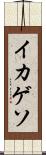 イカゲソ Scroll