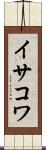 イサコワ Scroll