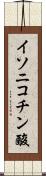 イソニコチン酸 Scroll