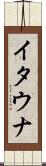 イタウナ Scroll