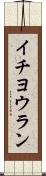 イチヨウラン Scroll