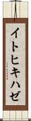 イトヒキハゼ Scroll