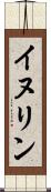 イヌリン Scroll
