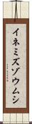 イネミズゾウムシ Scroll