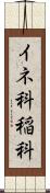 イネ科 Scroll