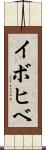 イボヒベ Scroll