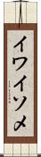 イワイソメ Scroll