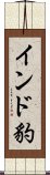 インド豹 Scroll