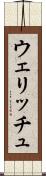 ウェリッチュ Scroll