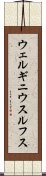 ウェルギニウスルフス Scroll